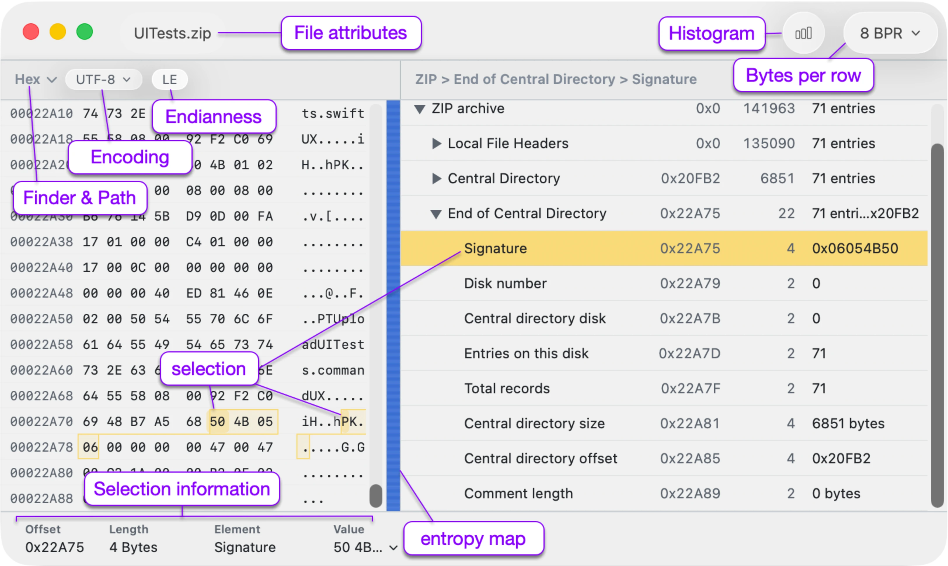 Standalone hex viewer showing raw bytes and a parsed structure tree